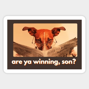 Are ya winning son? Internet Meme Dog Dad Joke Design Sticker